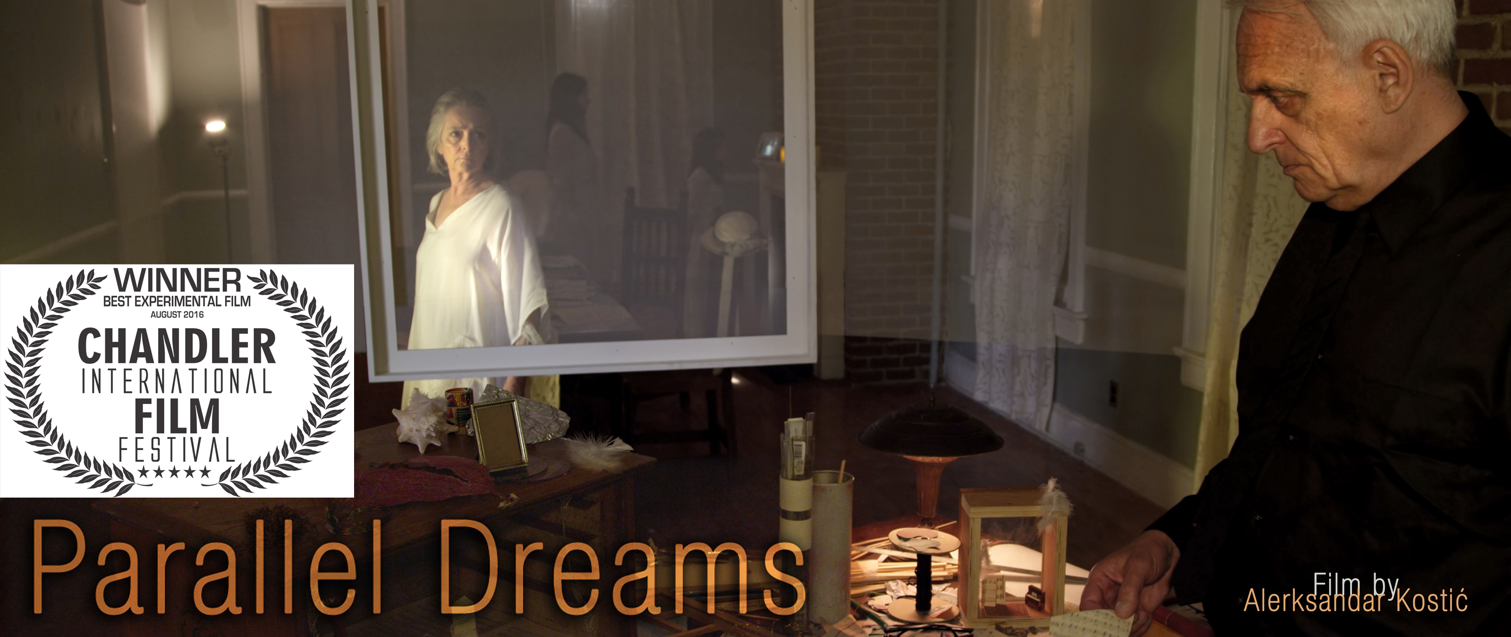 Best Experimental Film Award for Parallel Dreams Short Film